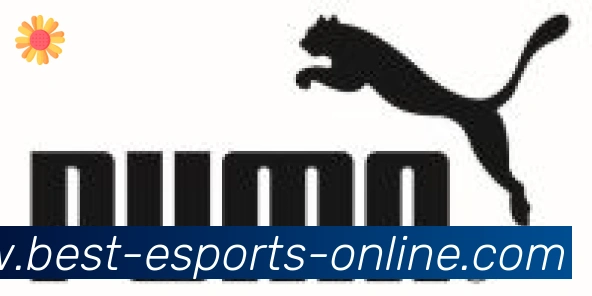 DOTA竞猜合作伙伴
